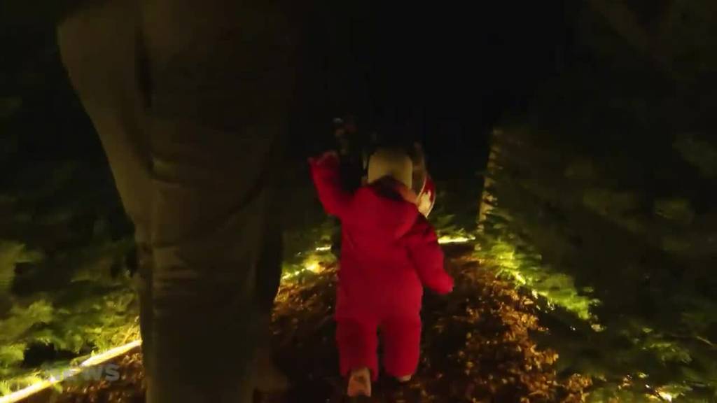 Weihnachtsbaum-Labyrinth in Interlaken