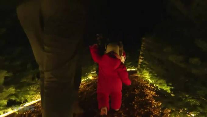 1000 Weihnachtsbäume werden in Interlaken zum Labyrinth
