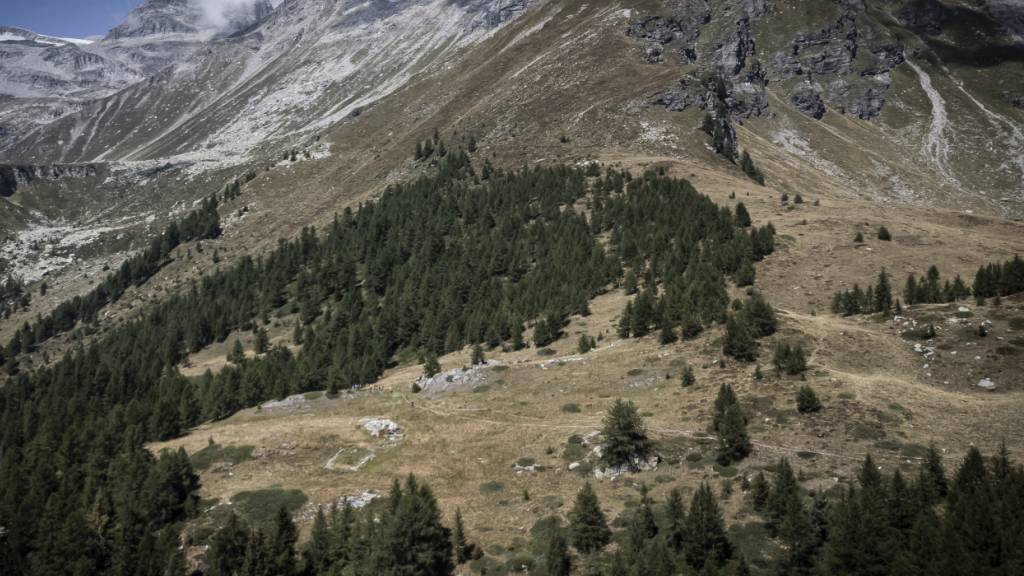 An diesem Berghang bei Gondo soll eine alpine Photovoltaikanlage entstehen. (Archivbild)