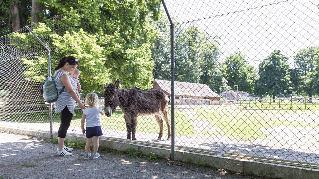 Ideal für einen Familienausflug.