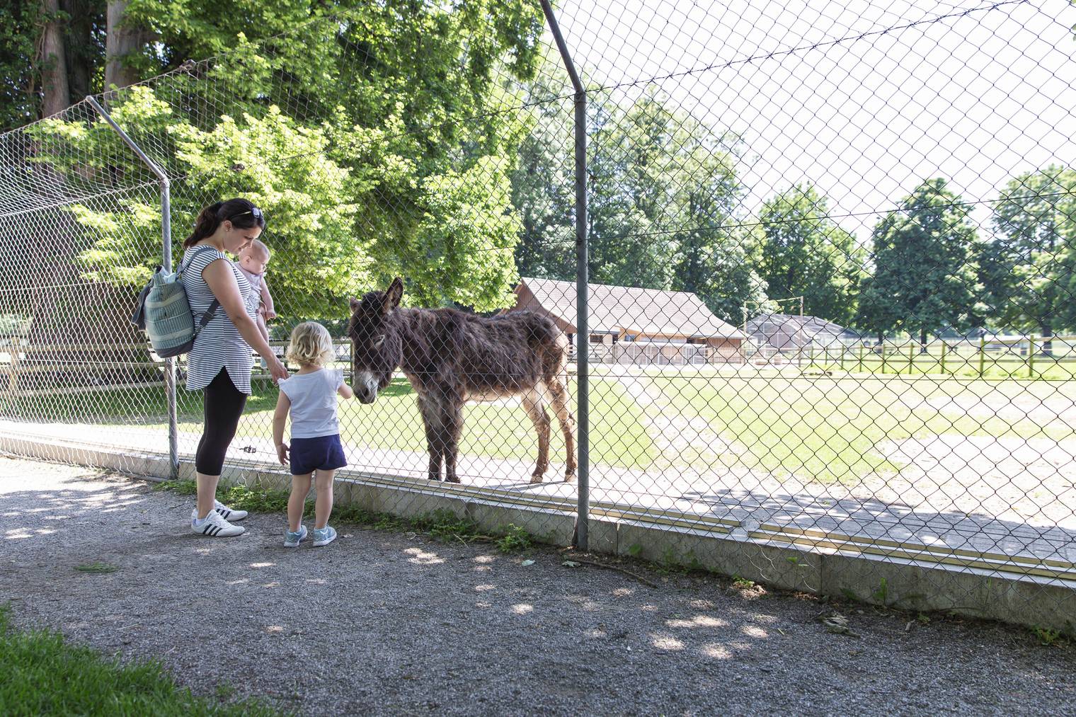 Ideal für einen Familienausflug.