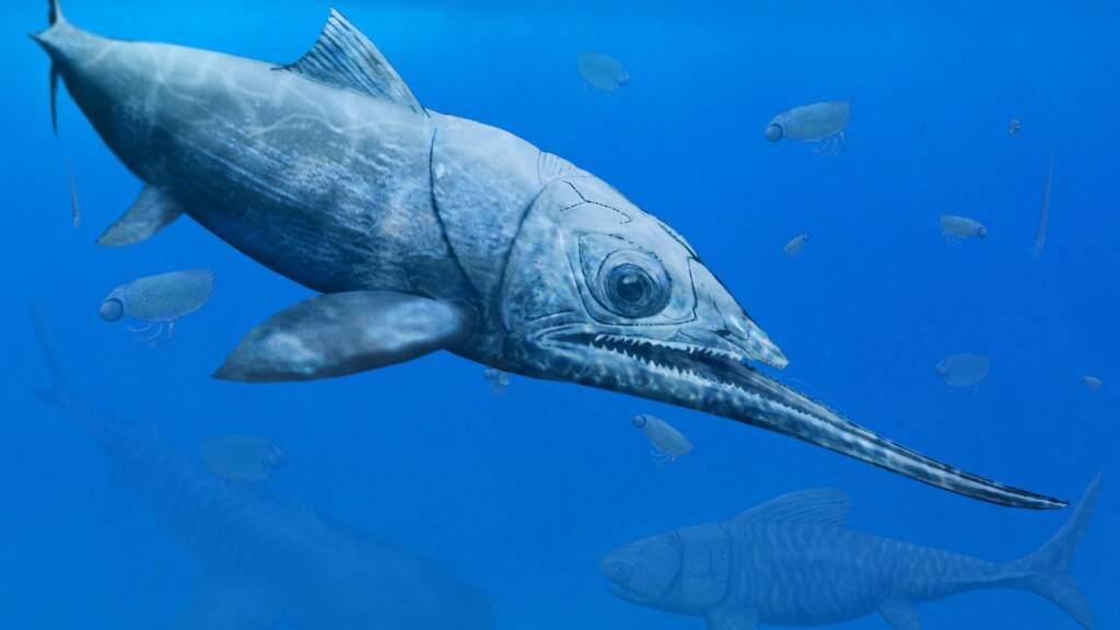 Der Unterkiefer des Fischs Alienacanthus war doppelt so lang wie dessen Schädel.