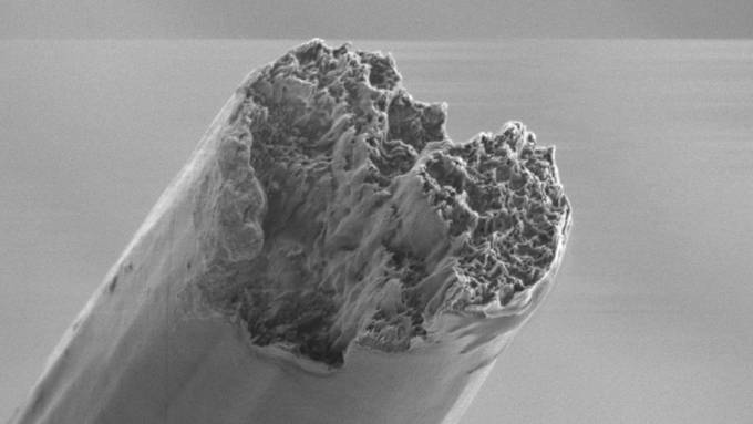 Stärkstes Biomaterial schlägt Stahl