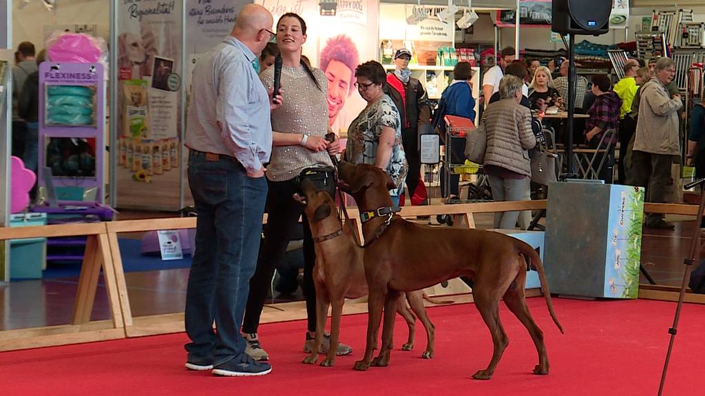 Schweizer Hundefachmesse
