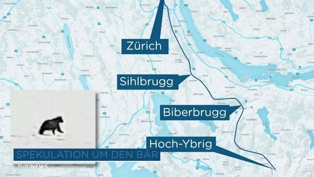 Schlagzeilen