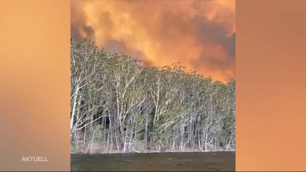 Wie erlebten Australien-Reisende die verheerenden Waldbrände?