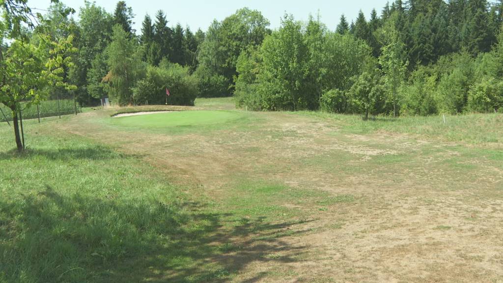 So geht Ruswiler Golfplatz mit Trockenheit um