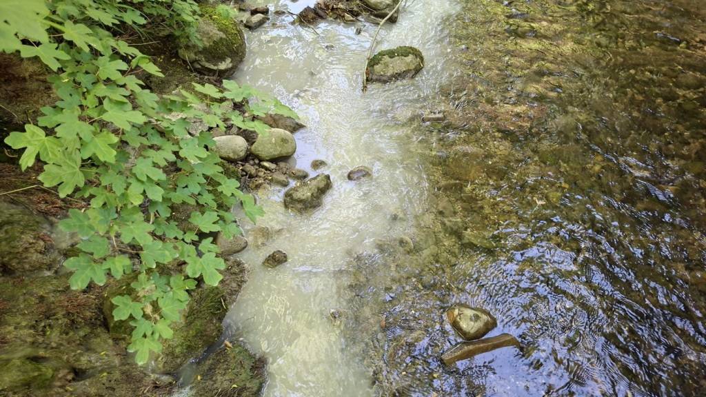 Zementwasser verunreinigt Bach in Vuadens FR