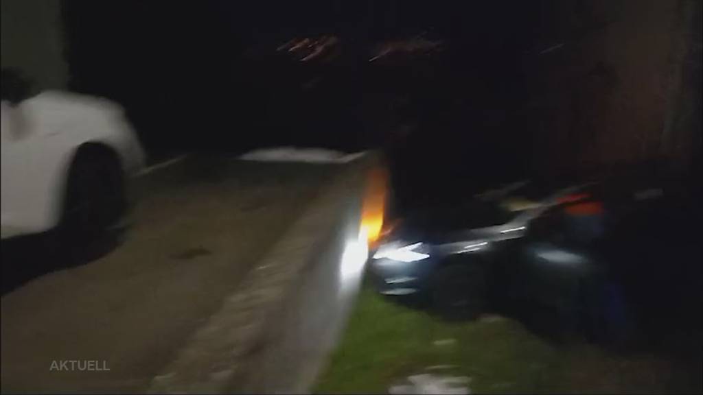 Abgelenkt: Autolenkerin landet in Birrwil wegen schreiendem Kind auf Sitzplatz