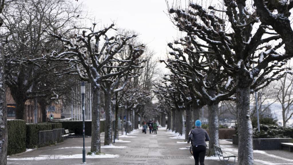 Die Kälte hat die Schweiz im Griff. Im Bild die Zürcher Seepromenade am vergangenen Wochenende.