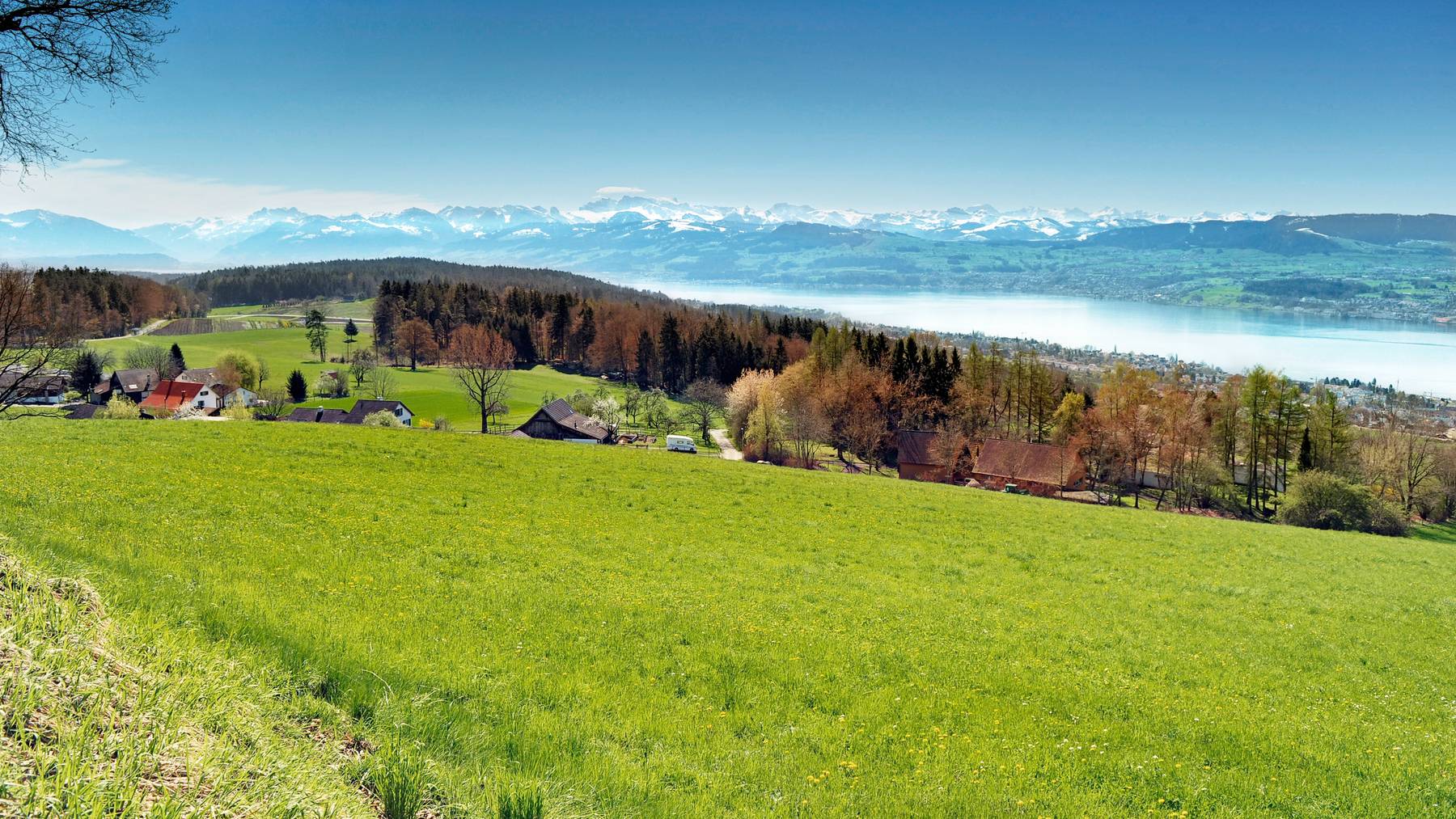 2021-forchbahn-zuerich-forch-landschaft-aussicht-zuerichsee-hero