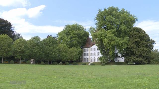 «Ich habe noch nie so schöne Bäume gesehen»