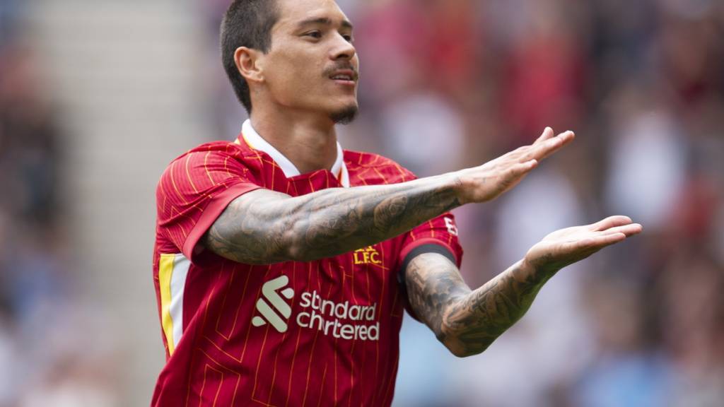 Jubelt in Zukunft nicht mehr mit den Liverpool-Fans: Darwin Nuñez