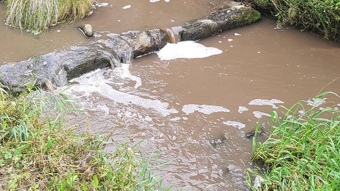 Fischsterben im Würzenbach in Adligenswil