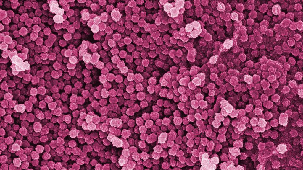 Zürcher Forschende legen Wissenslücken zu Nanoplastik dar