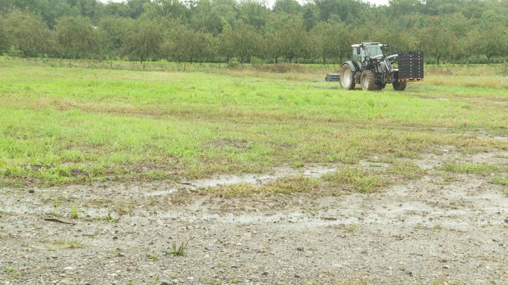 Neustart auf dem Skandalhof: Betrieb in Hefenhofen aufgeräumt