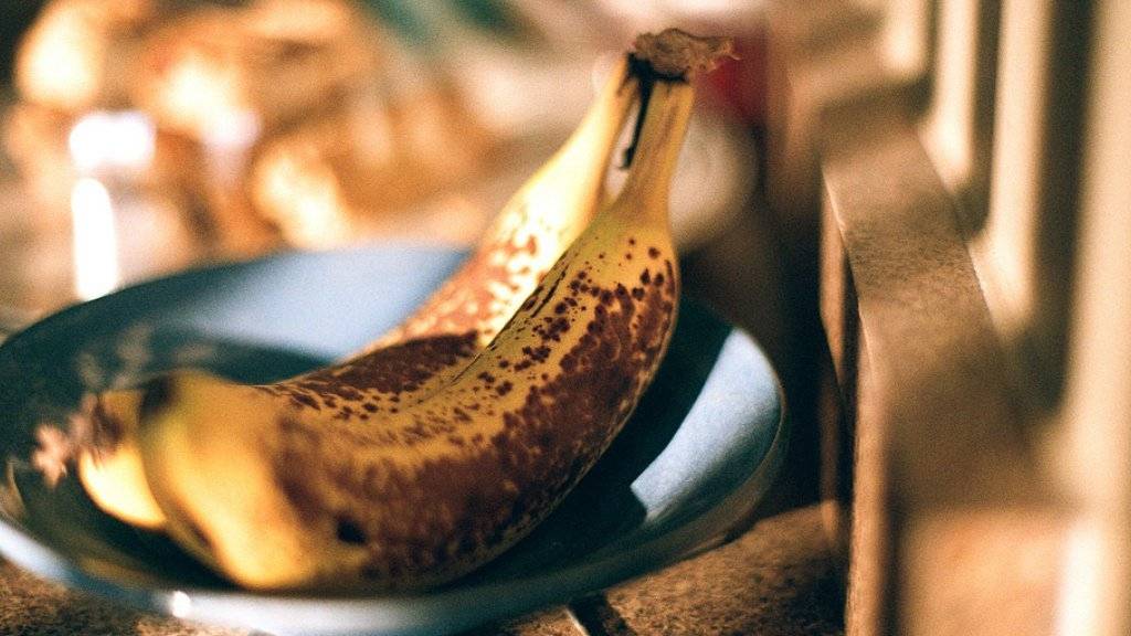 Haben als Versuchskaninchen hergehalten: Bananen als Helfer der Wissenschaft.