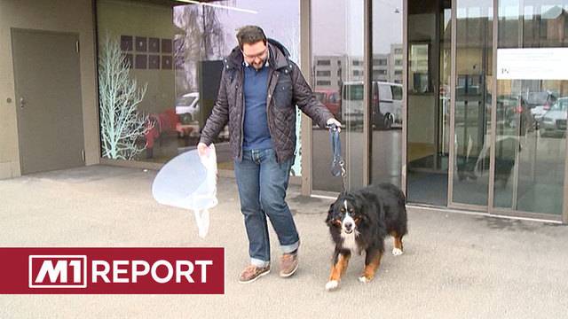 SOS Tierspital – Teil 3