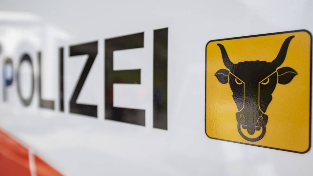 Tödlicher Kanu-Unfall auf der Reuss in Gurtnellen