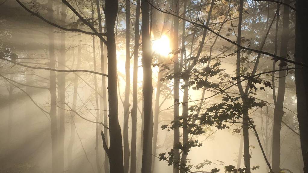 Das sind die schönsten Herbst-Bilder