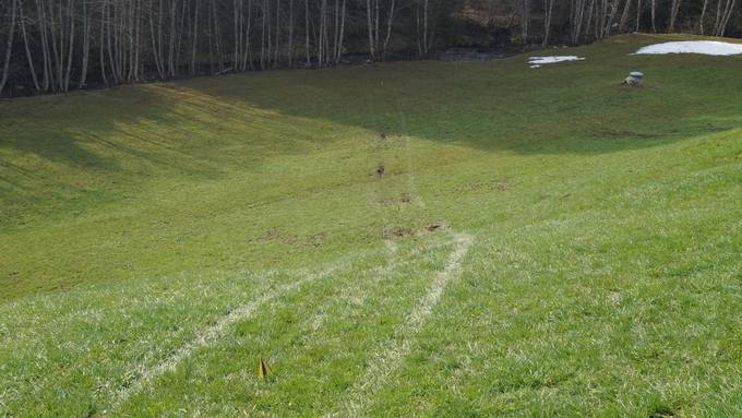 Frau stirbt bei Selbstunfall in Oberägeri