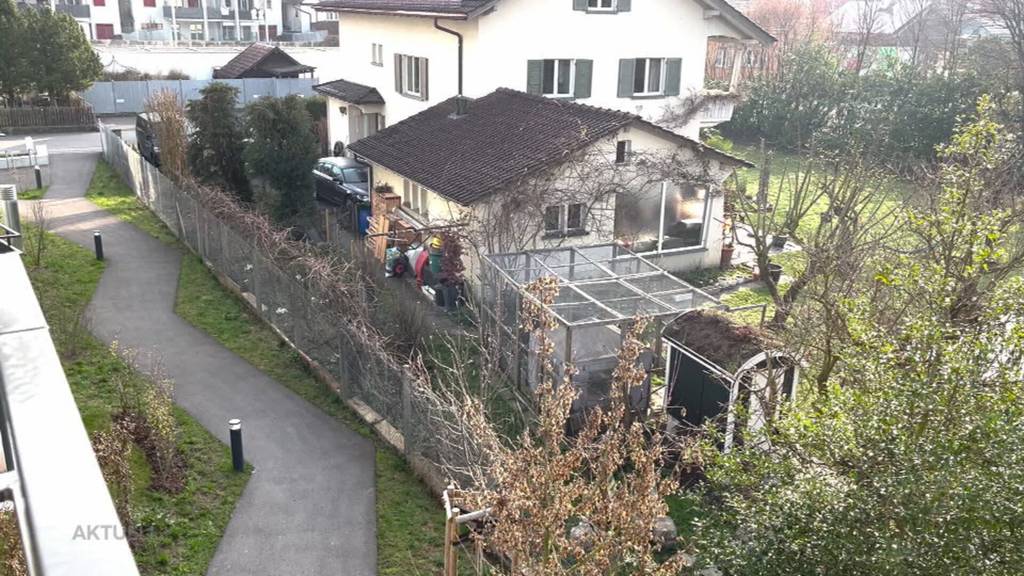 Zu laut: Hahn des Pfarrers nervt die Anwohner in Reinach