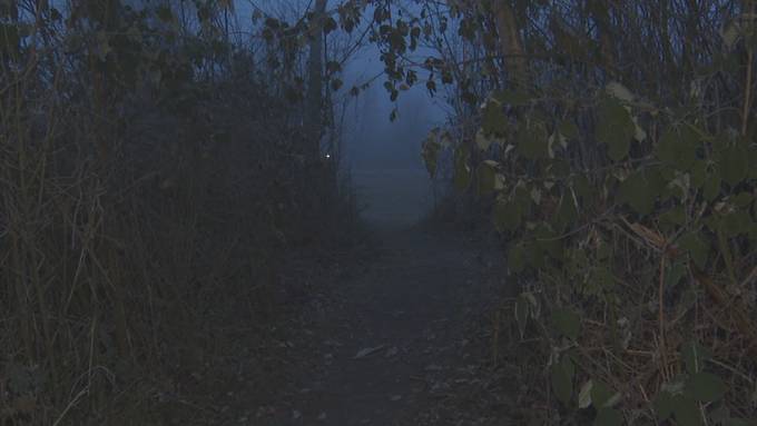 Dagmersellerin bereitet sich auf Bergtour in Nepal vor