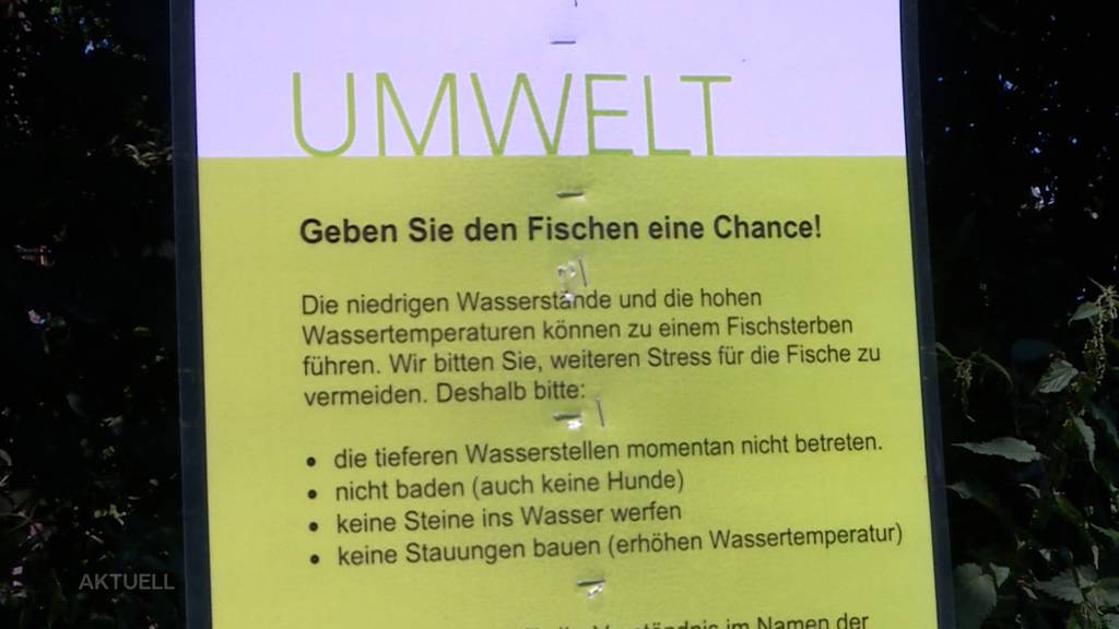 Höchster Solothurner Fischer fordert in gewissen Flüssen ein Badeverbot