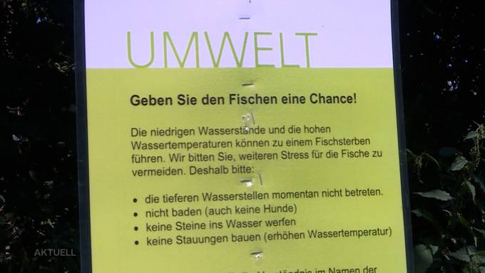 «Tragödie unter Wasser»: Badeverbot für Menschen und Hunde in den Flüssen?