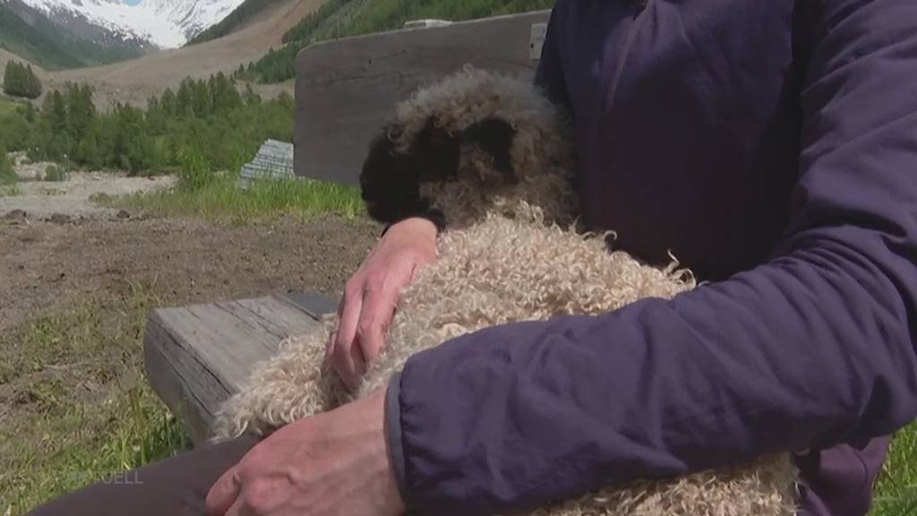 Gletschersturz im Wallis: Betroffene Bewohnerin erzählt