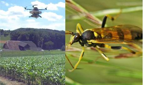 Bauern Setzen Bei Schadlingsbekampfung Auf Drohnen Wirtschaft rgauer Zeitung