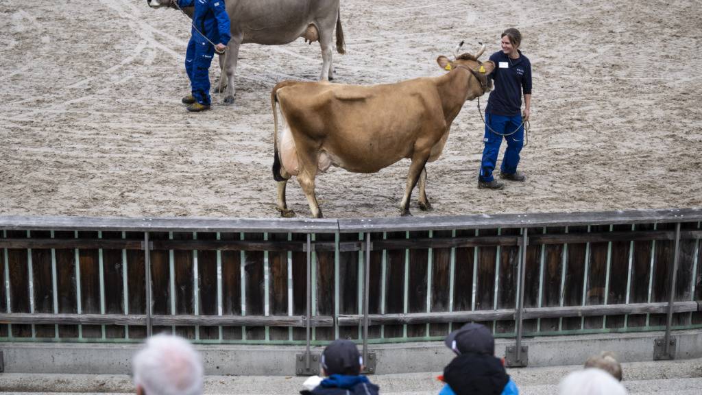 St. Galler Regierung sieht Olma Messen auf Kurs
