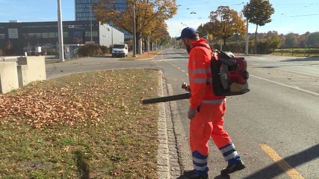 Herbst bringt nervige Laubbläser mit sich