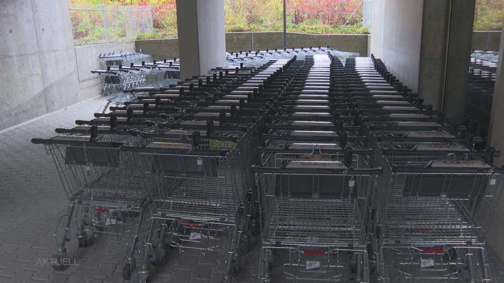 «Wägeli-Drama»: Trotz magnetischer Blockade landen hunderte Einkaufswagen bei den Telli-Blöcken
