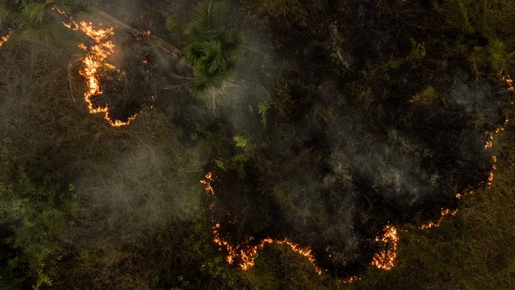 Wegen Waldbränden im Amazonas erkranken jedes Jahr Millionen von Menschen an Atemwegs- und Herzkreislauf-Erkrankungen. (Archivbilder)
