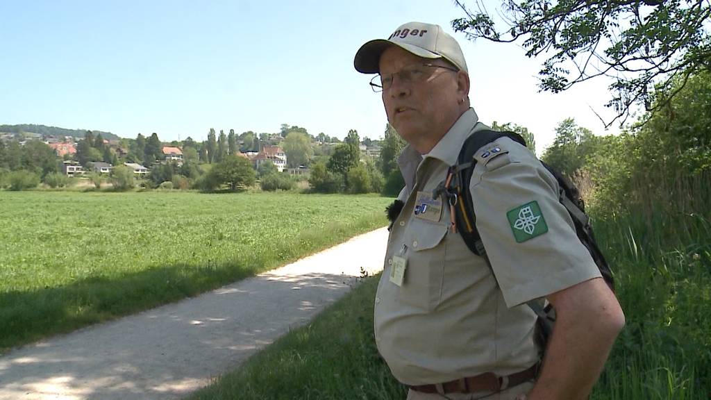 Ein Tag mit dem Hallwilersee-Ranger