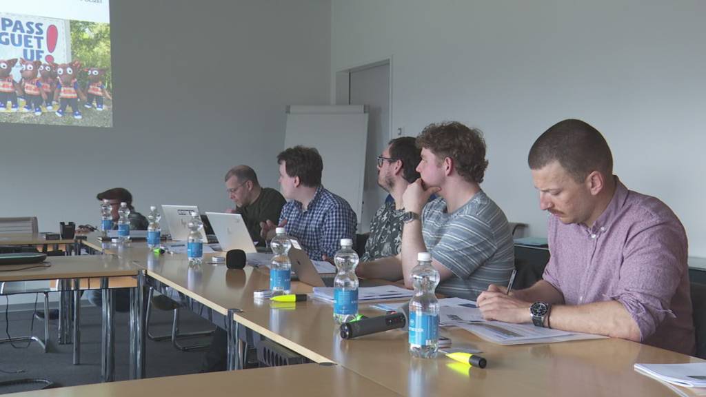 Kriminalstatistik Kanton Luzern