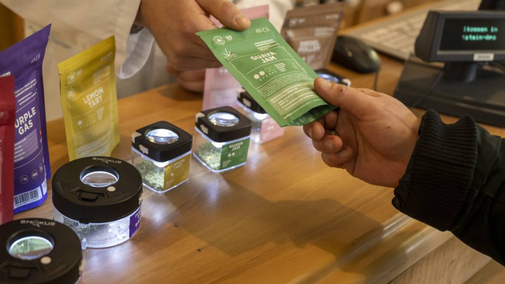 Umstrittenes Cannabisgesetz: Vorreiterrolle oder Vorpreschen