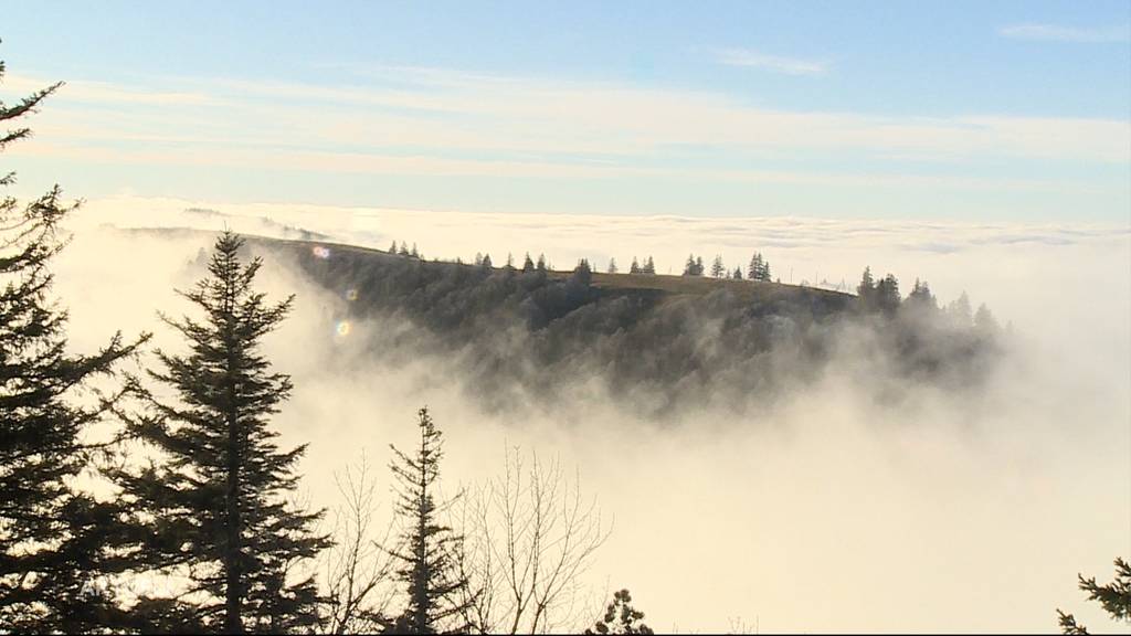 Hoch hinaus: An diesem Ort konnte man heute vor dem Nebel flüchten