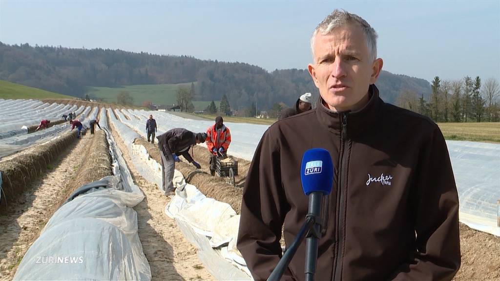 Jucker-Farm will Gastronomen als Erntehelfer anstellen