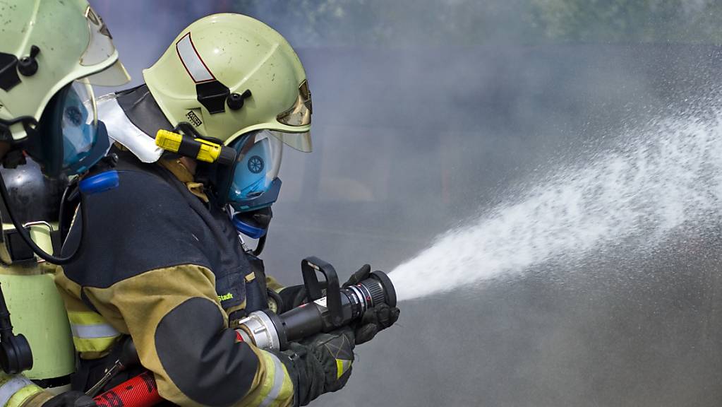 Die Feuerwehrleute brachten den Brand bei Bellinzona am frühen Morgen unter Kontrolle. (Symbolbild)