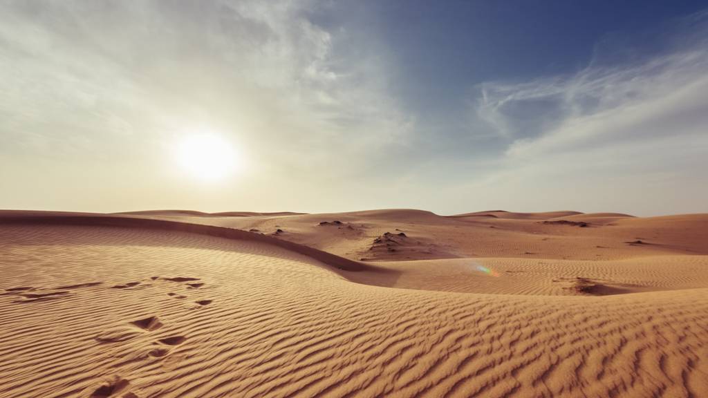 photo-1473580044384-7ba9967e16a0