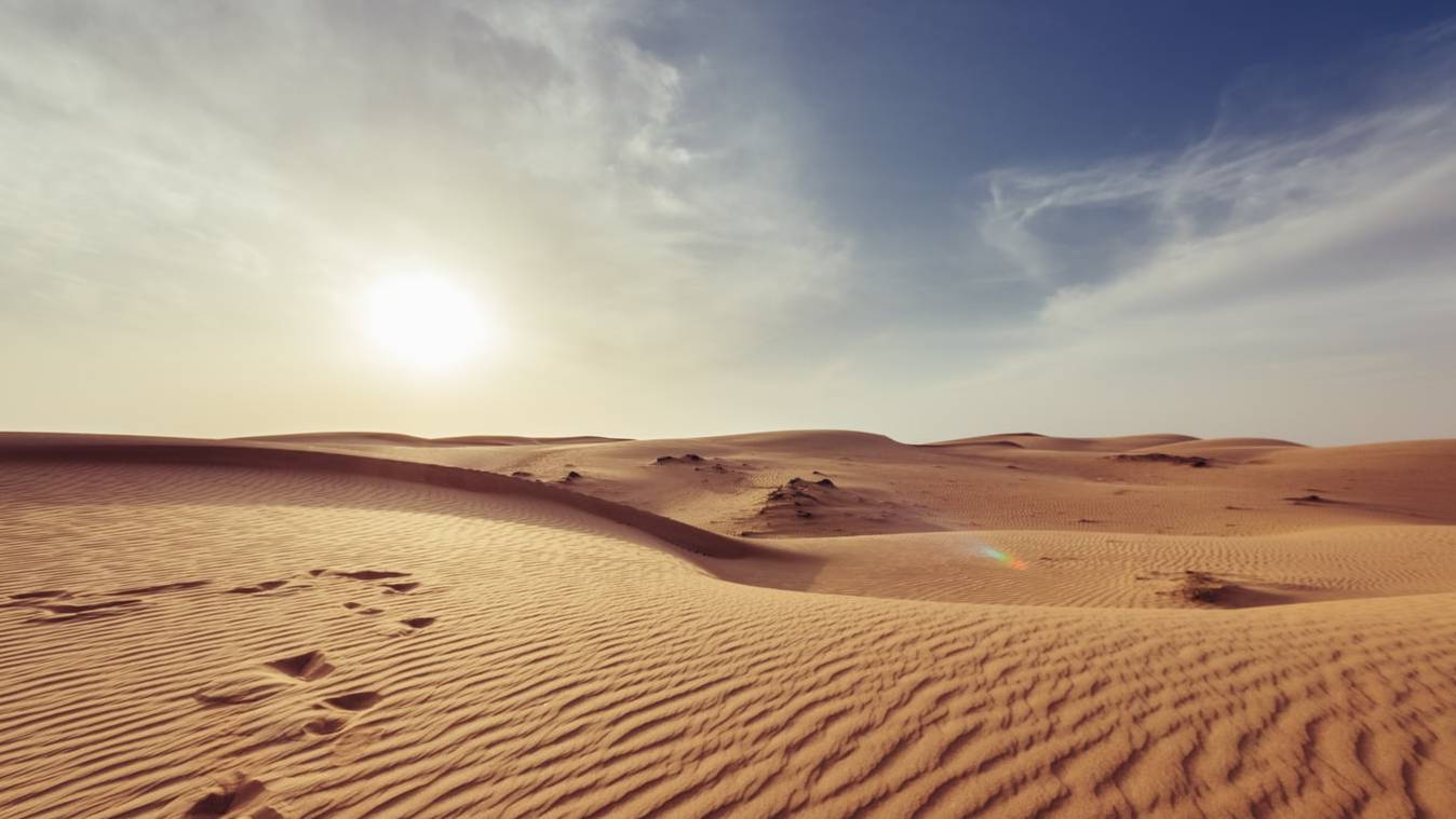 photo-1473580044384-7ba9967e16a0