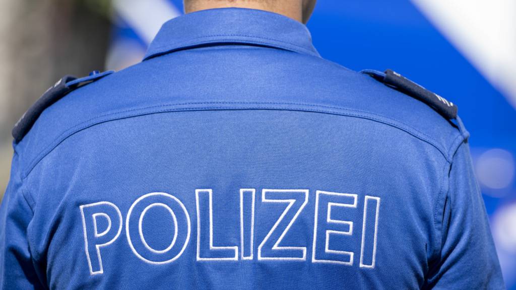Die Luzerner Polizei hat im Nachgang von zwei Einbrüchen drei Personen festgenommen. (Symbolbild)