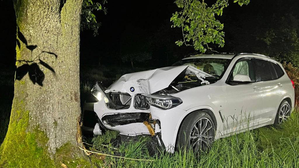 Der alkoholisierte Lenker kollidierte frontal mit einem Baum.