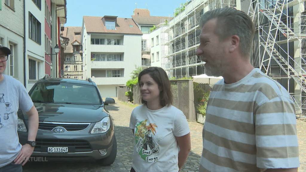 Zerstörungswut: In Lenzburg wüten unbekannte Vandalen