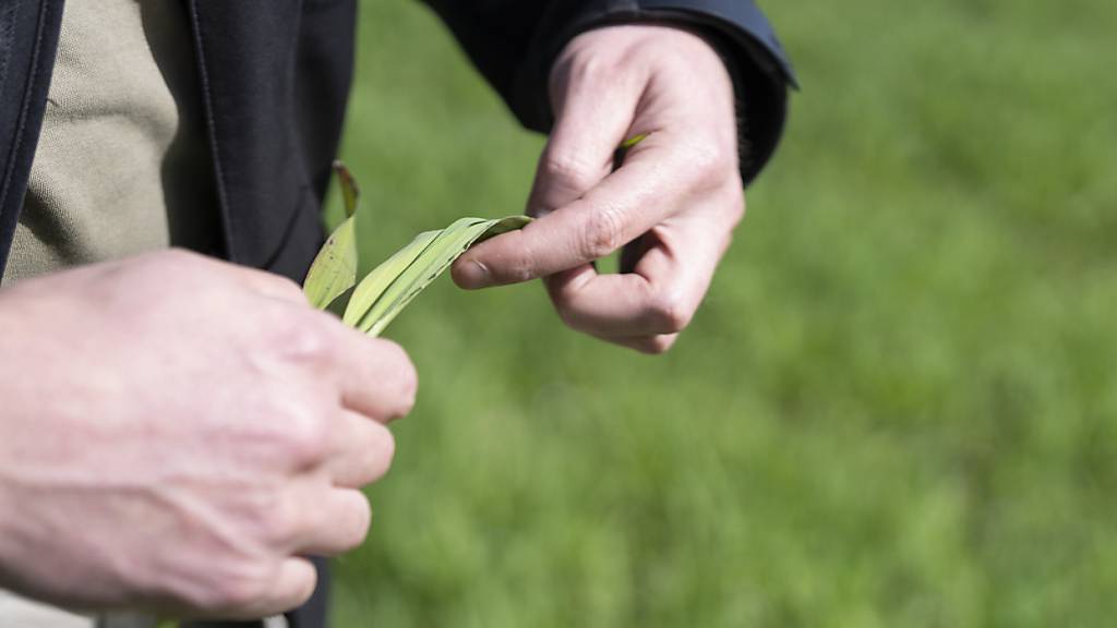 Die Schweiz hat ihre global verfügbaren Ressourcen mit dem heutigen «Swiss-Overshoot-Day» aufgebraucht. (Archivbild)