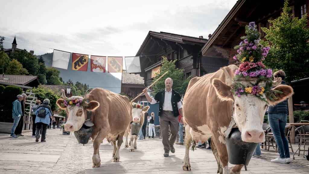 Alpsommer geht im Kanton Bern dem Ende entgegen