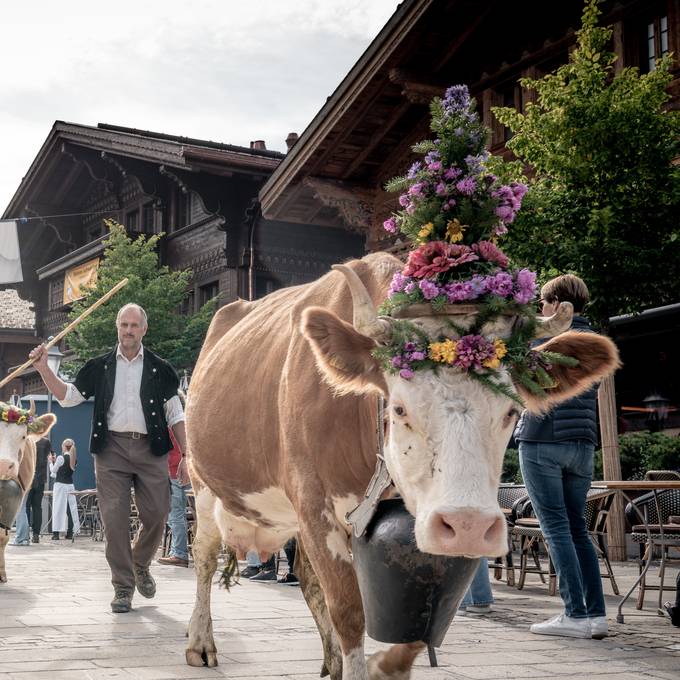 Alpsommer geht im Kanton Bern dem Ende entgegen