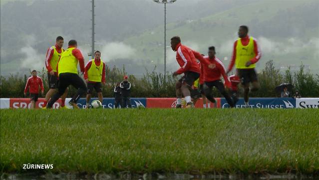 Behrami fällt für letzte WM-Quali Spiele aus